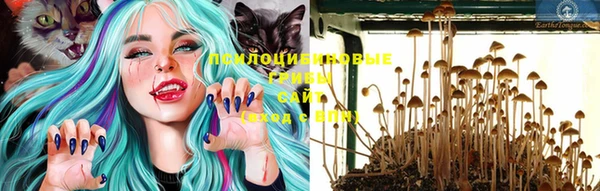 трава Вязники