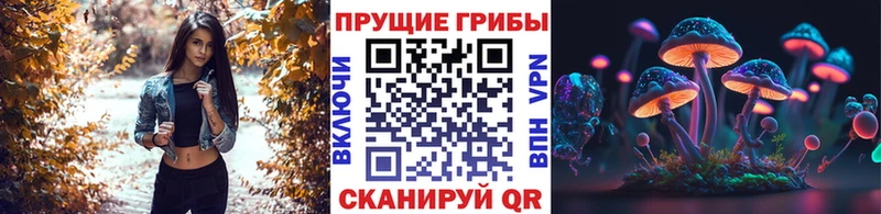 Псилоцибиновые грибы мицелий Долинск
